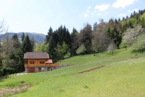 Ljubno_Juvanov_apartma (2)